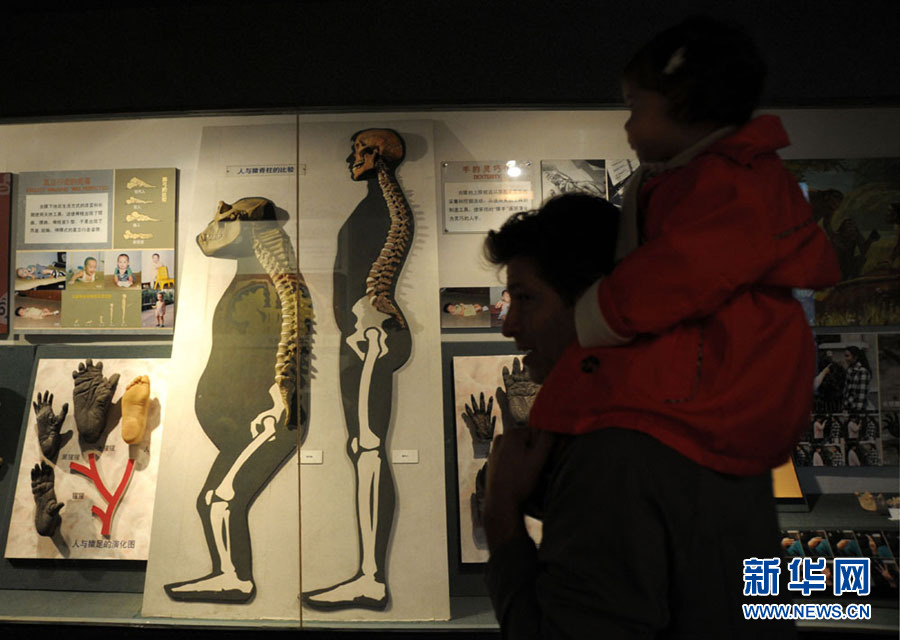 上海自然博物馆将搬迁 明年正式建成