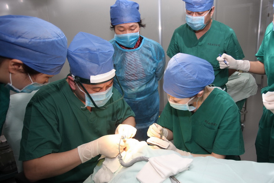 但在张灏出院后仅一个月