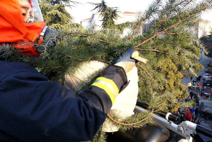 群众生活无小事 消防勇捅马蜂窝