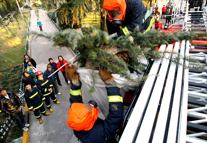 群众生活无小事 消防勇捅马蜂窝