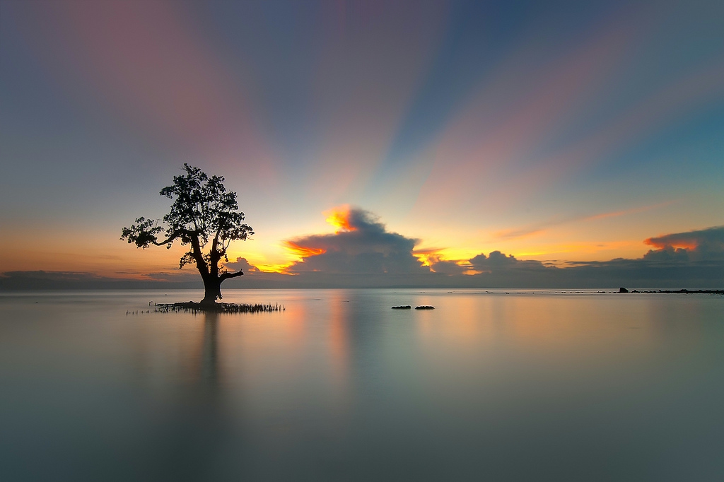 发现地球之美_新华网上海频道