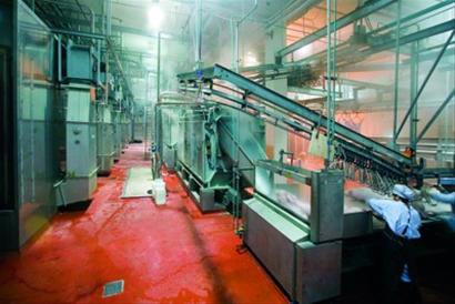 屠宰场整顿后减至16家 生猪待宰前须经尿检瘦