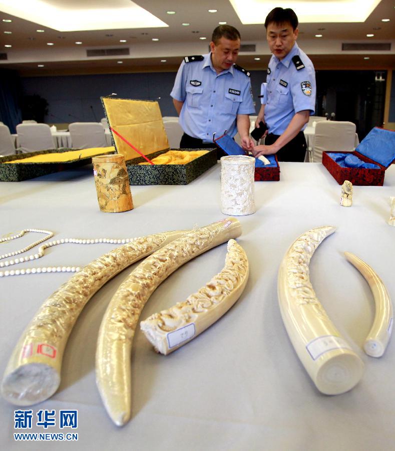 上海成功破获非法收购、出售象牙制品案