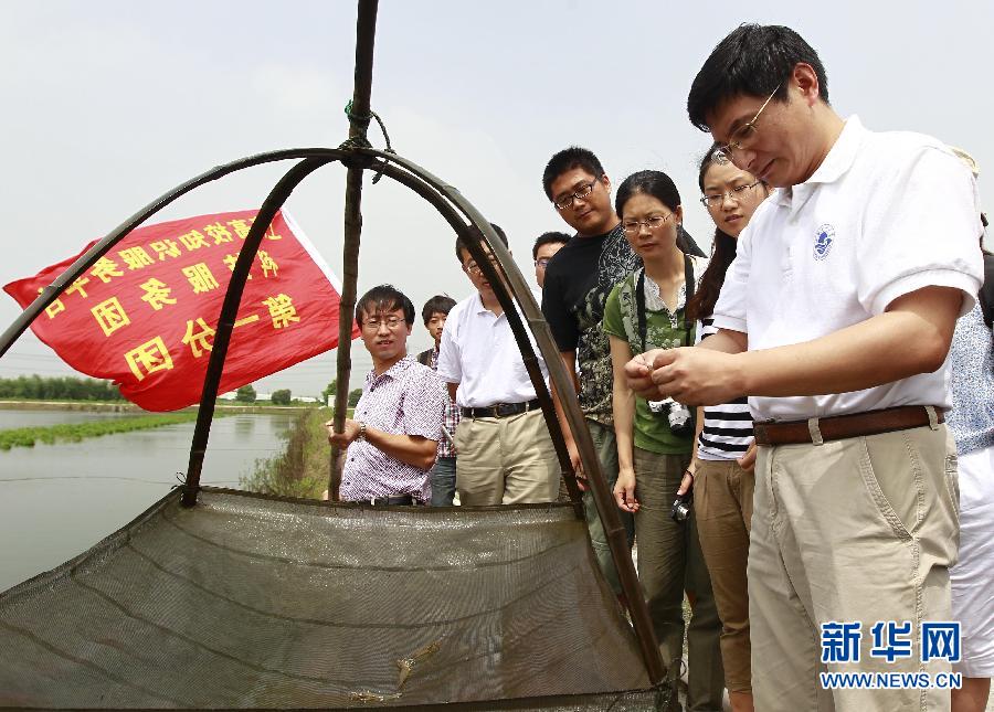 夏季行动助力水产养殖增产增收