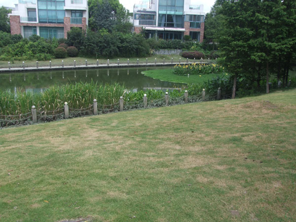 漓江山水花园业主投诉环境差 管理缺陷有待改