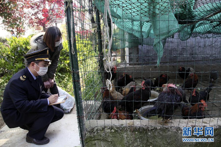 上海加大餐饮业检查力度 防控禽流感