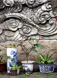 五一小长假最IN路线:到温岭吃海鲜去金泽古镇