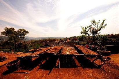 五一小长假最IN路线:到温岭吃海鲜去金泽古镇