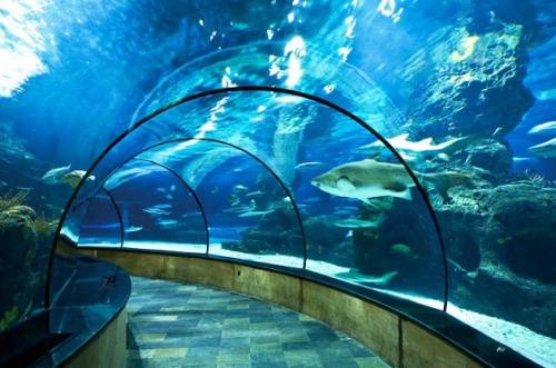 2013六一儿童节上海去哪玩 八大游玩好去处 新