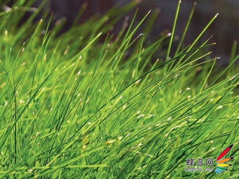 出游速成教程 旅行时人文景观的拍摄方法