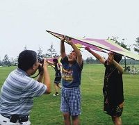 追寻春天的脚步 上海放风筝十大好去处 新华网