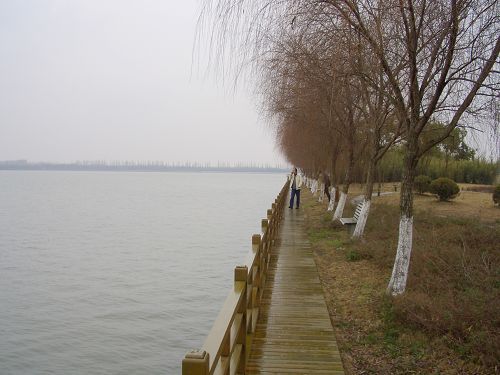 漫步崇明 值得一玩的十大景 新华网上海频道新