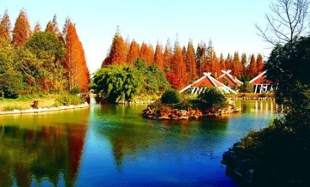 给心灵以片刻宁静 崇明夏日消暑地图 新华网上