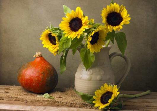 父亲节给老爸送什么礼物? 不求最好 但求贴心