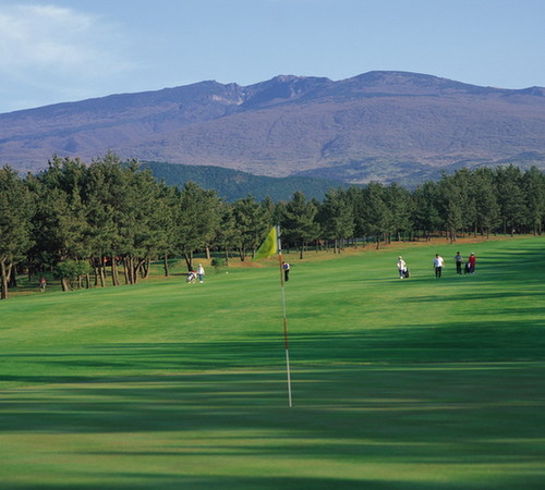 济州岛自驾游 浪漫唯美之旅 新华网上海频道新