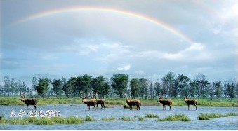 国庆黄金周十大热门自驾游目的地--大丰