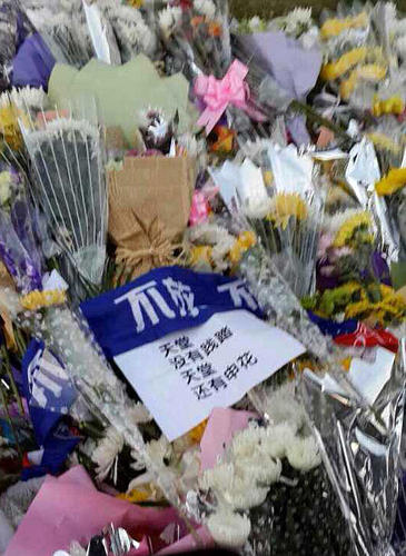 外滩拥挤踩踏事件申花女球迷遇难 虹口为她留