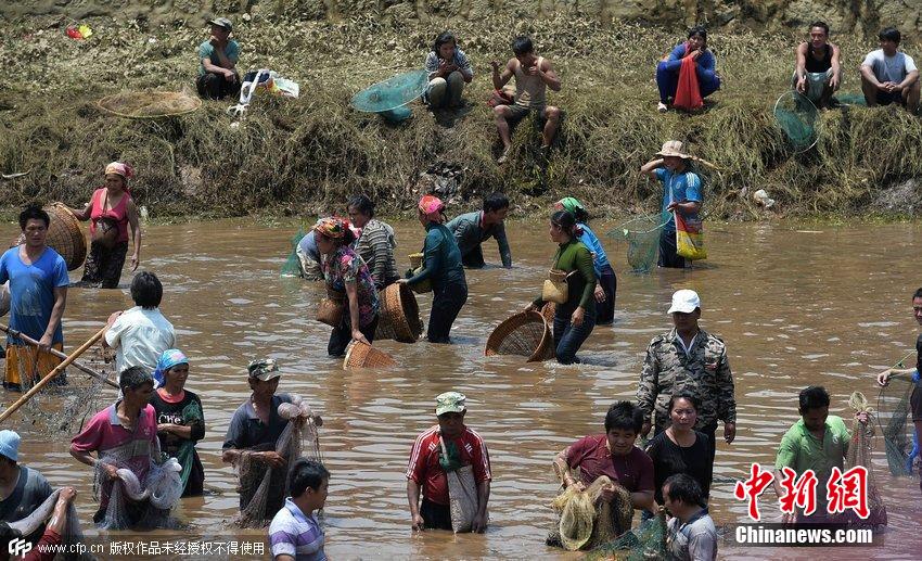 云南举行神鱼节 上万人下河捕鱼