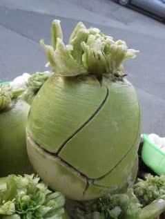 尽量选择应季蔬菜 六种菜千万不要买