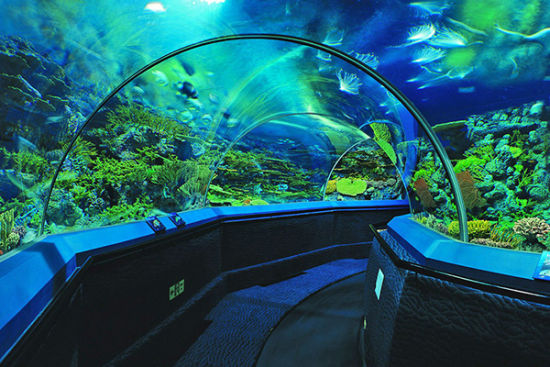上海海洋水族馆