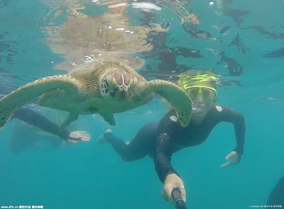 全世界最好的工作:21岁美女博主靠旅行晒照挣