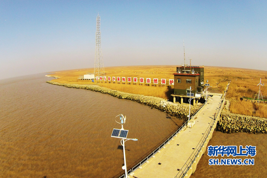 航拍九段沙湿地:上海最后一块处女地