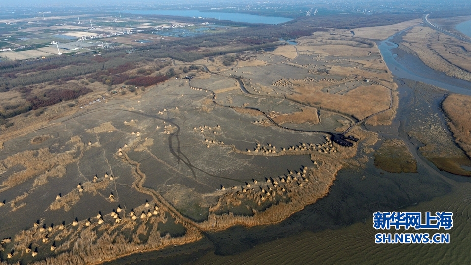 航拍西沙湿地:世界第一大河口冲积岛潮滩湿地