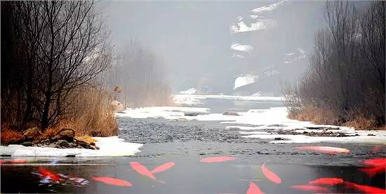 今日立春:习俗五则、养生五原则