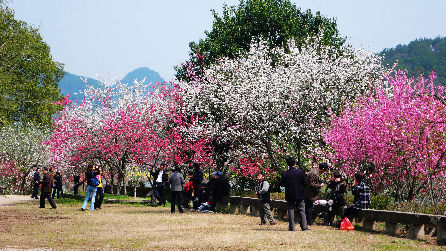 江浙沪皖3月最佳旅游地 春节后 人少景美还便