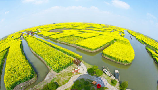 江浙沪皖3月最佳旅游地 人少景美