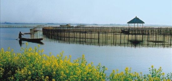 镜湖国家城市湿地垣园