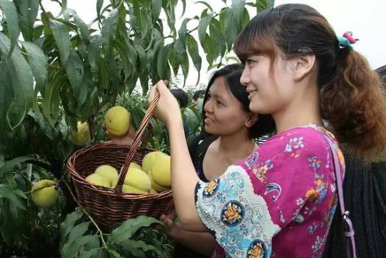 上海六大特色线路 带你夏季精彩上海一日游