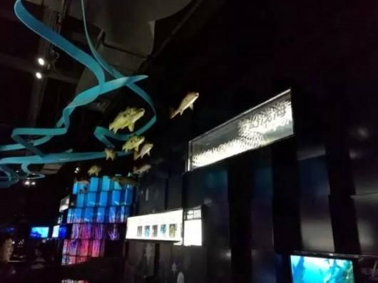 海底总动员 盘点上海那些与海洋有关的地方