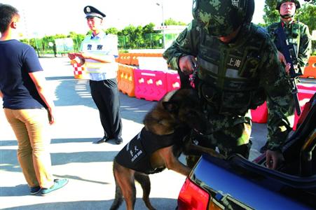 g20峰会临近 上海武警总队首次投入警犬参与安保