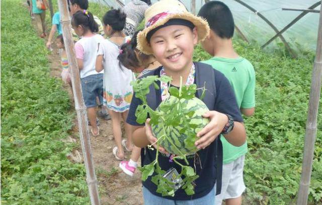 这些水果还是上海的最好吃 60秒教你挑选20种