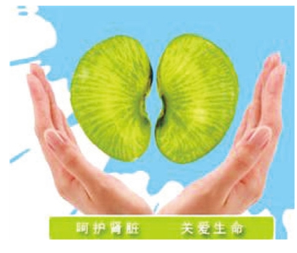 及时诊断慢性肾脏病预防尿毒症发生