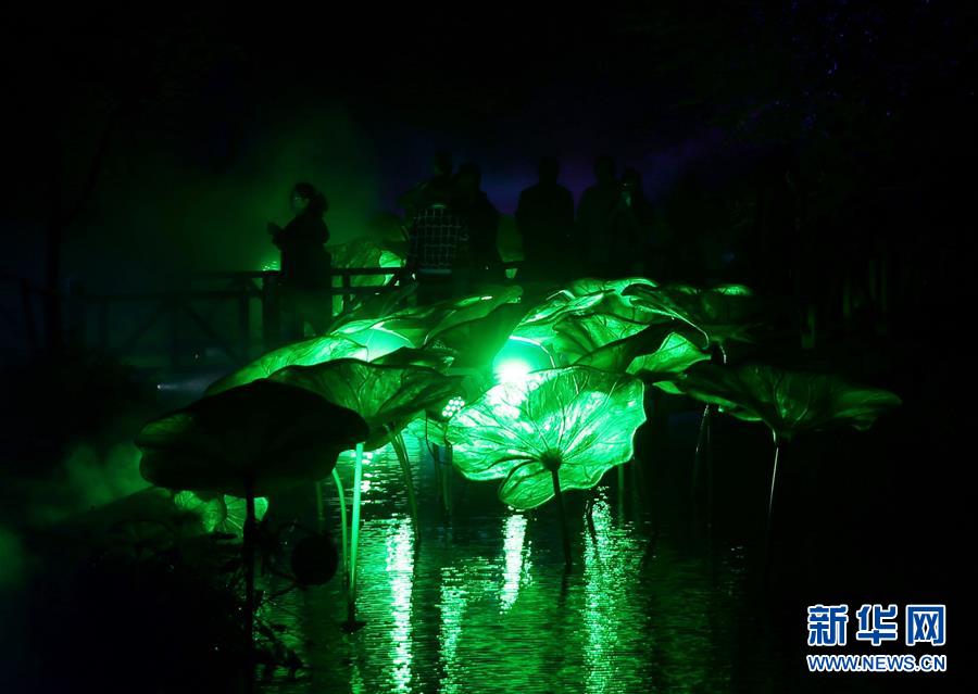 上海:梦幻森林灯光秀