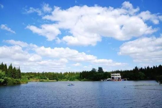 风景美如画 上海崇明最全旅游攻略