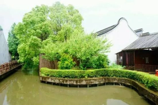 风景美如画 上海崇明最全旅游攻略