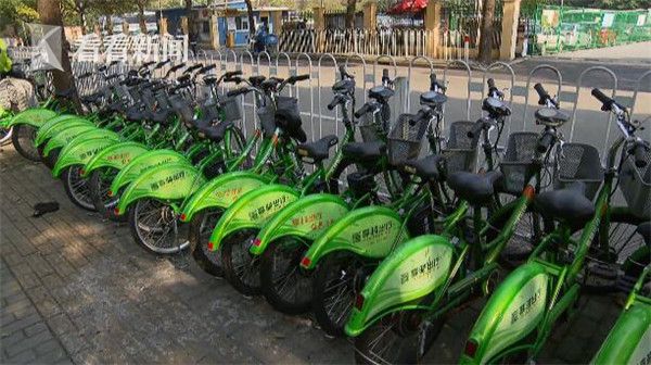 沪上共享单车日益壮大 电动车人为损坏现象仍
