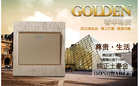 飞雕电器集团有限公司2015年重要纪事