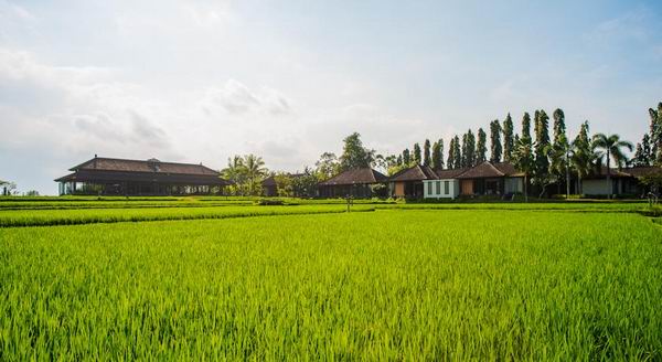 世界精品酒店大奖揭晓 哪些酒店上榜?