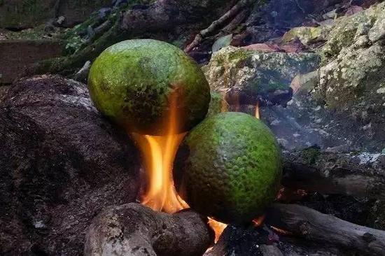 神奇的水果在这里!东南亚10大奇特水果