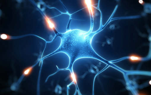 世界癫痫日:癫痫这六大误区 第一个你就错了