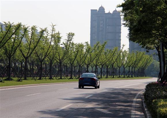 申城最豪华林荫道、最好吃公园在哪儿?