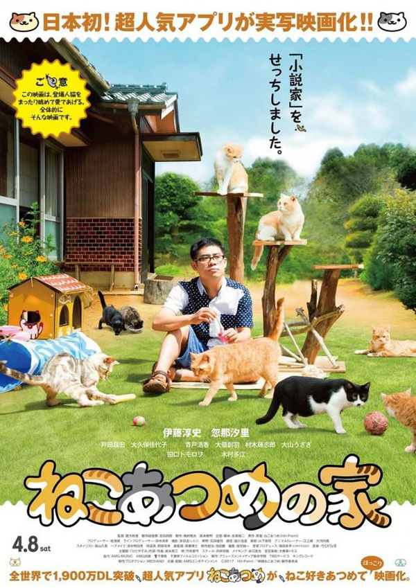 猫咪后院之家 2017.HD720P 迅雷下载