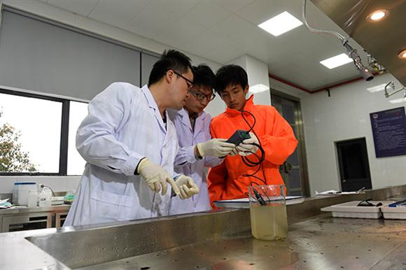 2017年第一尾!上海长江口监测到野生中华鲟幼