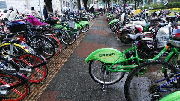 爱它便捷环保 上海社科院公布共享单车调查报告