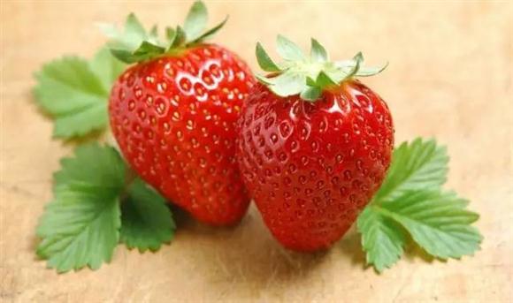 樱桃红了桑葚熟了 带你去采摘上海的甜蜜