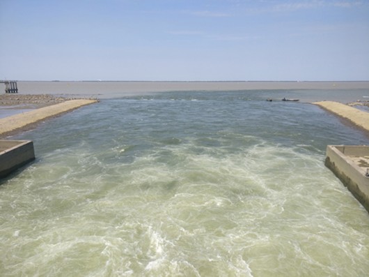 走近上海青草沙水源地:围十个西湖长江水 浊水